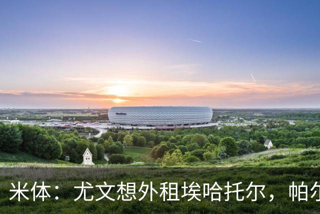米体：尤文想外租埃哈托尔，帕尔马最可能接手